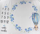 Baby mijlpaaldoek - mijlpaaldeken - milestone - Luchtballon bloemen