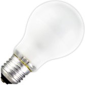 Standaardlamp 24/28V mat 40W grote fitting E27