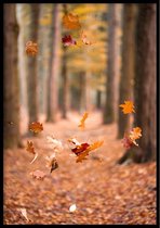 Poster Feuilles d'automne - 50x70cm - Poster Nature