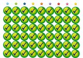 Groene Vinkjes Beloningsstickers - 5 Stickervellen - 270 Stickers - 19 mm - Positieve Vinkjes - Positief Vinkje - School - Goed gedaan - Beoordeling - Beloningstickers, Nakijkstick