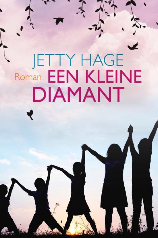 Een kleine diamant - cover