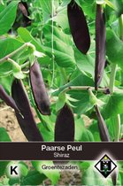 Van Hemert - Paarse Peul Shiraz (Pisum sativum)