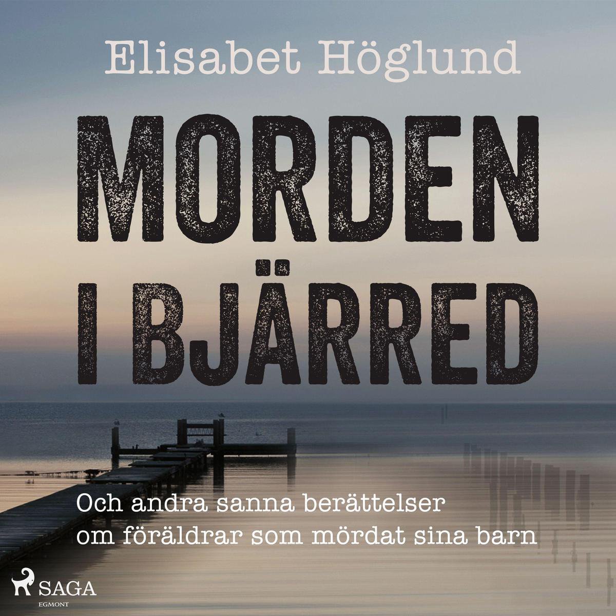 Morden i Bjärred: och andra berättelser om föräldrar som mördat sina barn - Elisabet Höglund