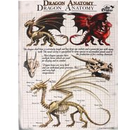 Dragon Anatomy Anne Stokes, fantasy afbeelding van een draken skelet op canvas 19 x 25 cm