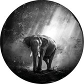 Schilderij Fotokunst Rond  | Olifant | 60 x 60 cm | PosterGuru