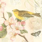 Ambiente papieren servetten Bird And Blossom