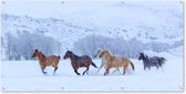 Wanddecoratie buiten Paarden - Sneeuw - Winter - 160x80 cm - Tuindoek - Buitenposter