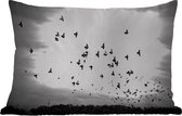 Buitenkussens - Tuin - Dieren - Vogels - Wolken - Zwart - Wit - 50x30 cm
