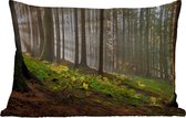 Buitenkussens - Tuin - Zon - Takken - Bomen - Bos - Natuur - 50x30 cm