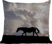 Buitenkussen - Paard - Wolken - Schaduw - 45x45 cm - Weerbestendig