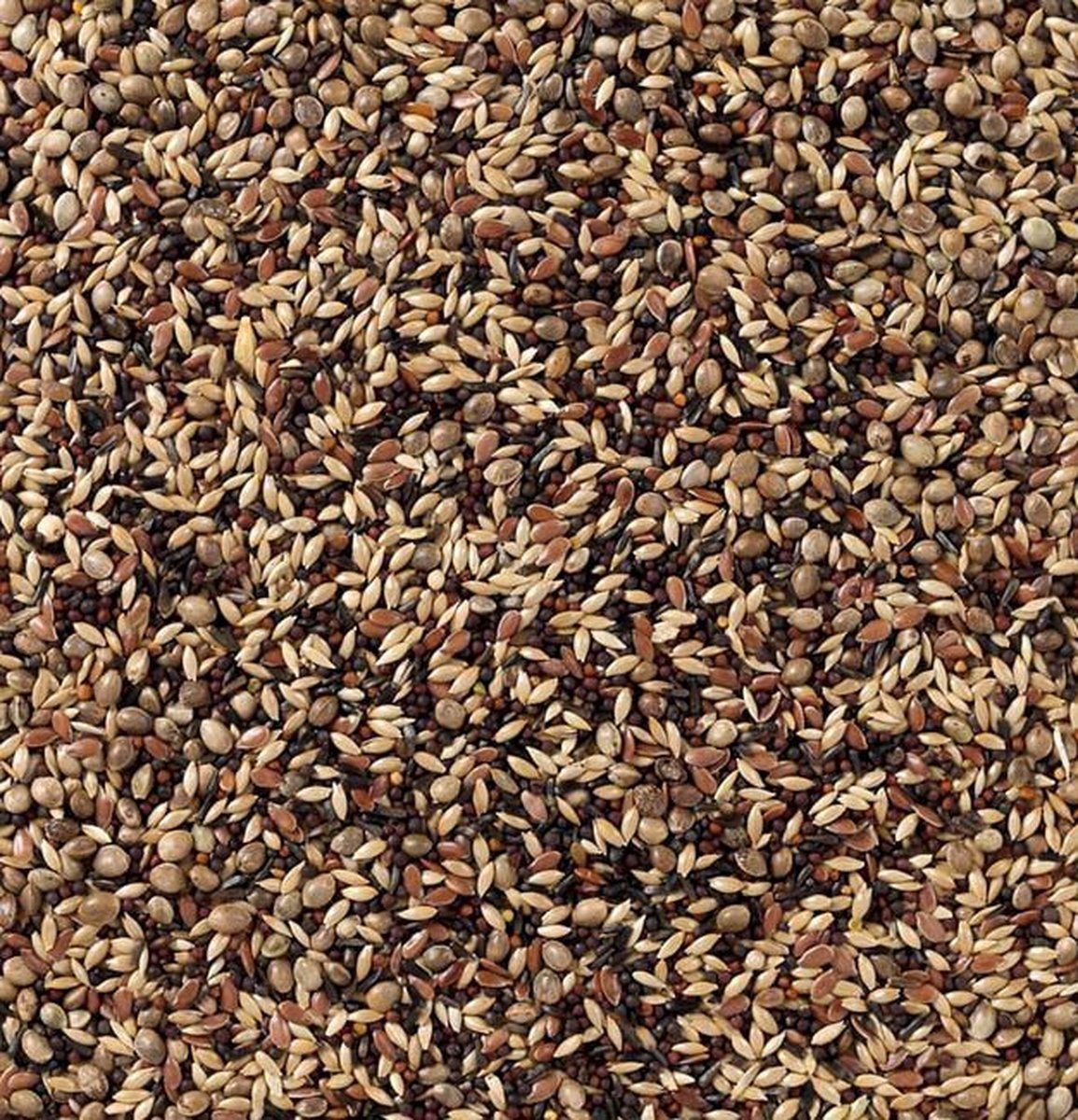 Deli nature nr 48 sijs en distelvink mengeling vogels 3 kg