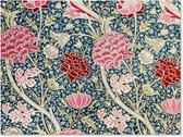 Tuinposter - Tuindoek - Tuinposters buiten - Bloemen - Vintage - Roze - Botanisch - 120x90 cm - Tuin