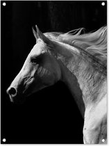 Tuinschilderij Paarden - Dieren - Portret - 60x80 cm - Tuinposter - Tuindoek - Buitenposter
