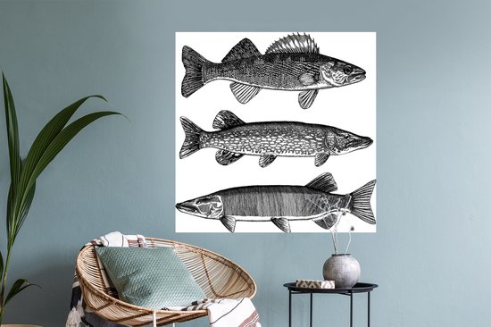 Stickers Stickers muraux - trois poissons - 100x100 cm - Feuille adhésive XXL