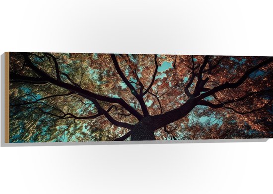 Hout - Boom - Onderaanzicht - Herfst - 120x40 cm - 9 mm dik - Foto op Hout (Met Ophangsysteem)