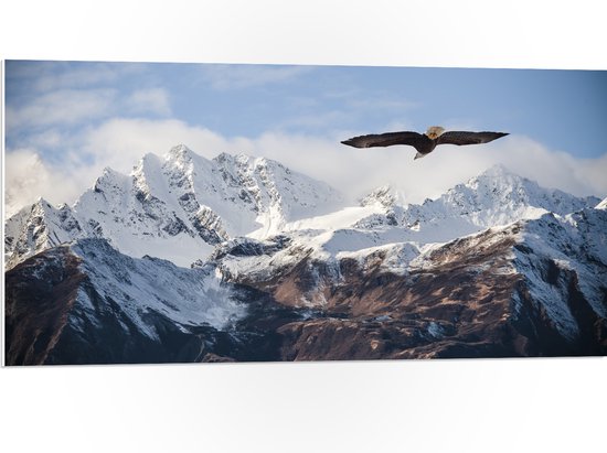 PVC Schuimplaat- Bergen - Vogel - Adelaar - Sneeuw - 100x50 cm Foto op PVC Schuimplaat