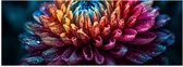 Poster Glanzend – Bloem - Kleuren - Natuur - Druppels - 60x20 cm Foto op Posterpapier met Glanzende Afwerking