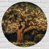Muursticker Cirkel - Boom - Lampjes - Verlichting - Achtertuin - Donker - Avond - Bloemen - Planten - 70x70 cm Foto op Muursticker
