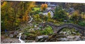 Tuinposter – Bomen - Huizen - Brug - Water - Waterval - Planten - Landschap - 200x100 cm Foto op Tuinposter (wanddecoratie voor buiten en binnen)