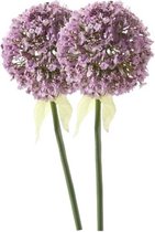 2 x Fleur de tige d'oignon ornementale lilas 70 cm - Fleurs artificielles