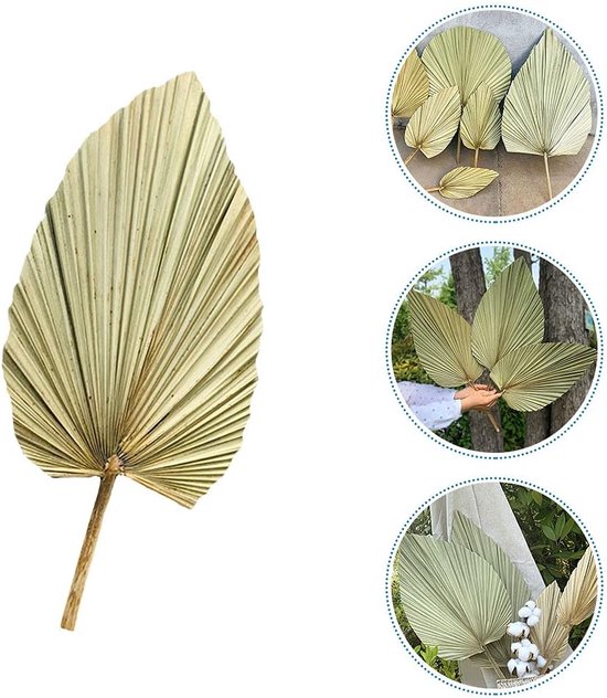 Palm Waaier Blad - Palm Bladeren - Pampas - Decoratie - Vaas niet Inbegrepen