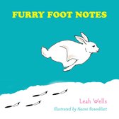 How Do You Do Music - Furry Foot Notes