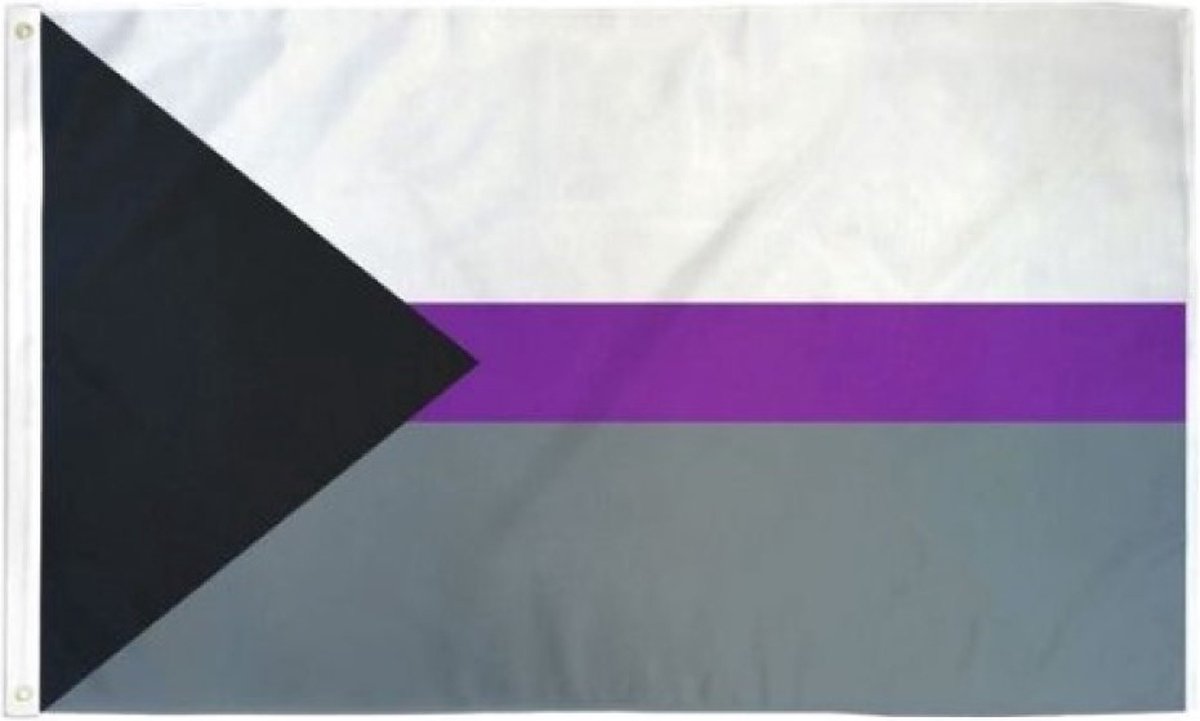 Demisexual Pride vlag 90x150 cm - Polyester - 2 ophangringen - Demi flag