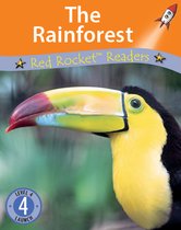 The Rainforest (Readaloud)