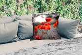 Buitenkussen Weerbestendig - Rode Klaprozen tegen zwarte met witte achtergrond - 50x50 cm