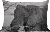Buitenkussens - Tuin - Close-up van een Afrikaanse olifant in zwart-wit - 50x30 cm
