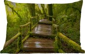 Buitenkussens - Tuin - Mooi regenwoud en jungle - 60x40 cm