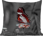 Buitenkussen Weerbestendig - Vlinder - Dieren - Bloemen - Zwart wit - Oranje - 50x50 cm