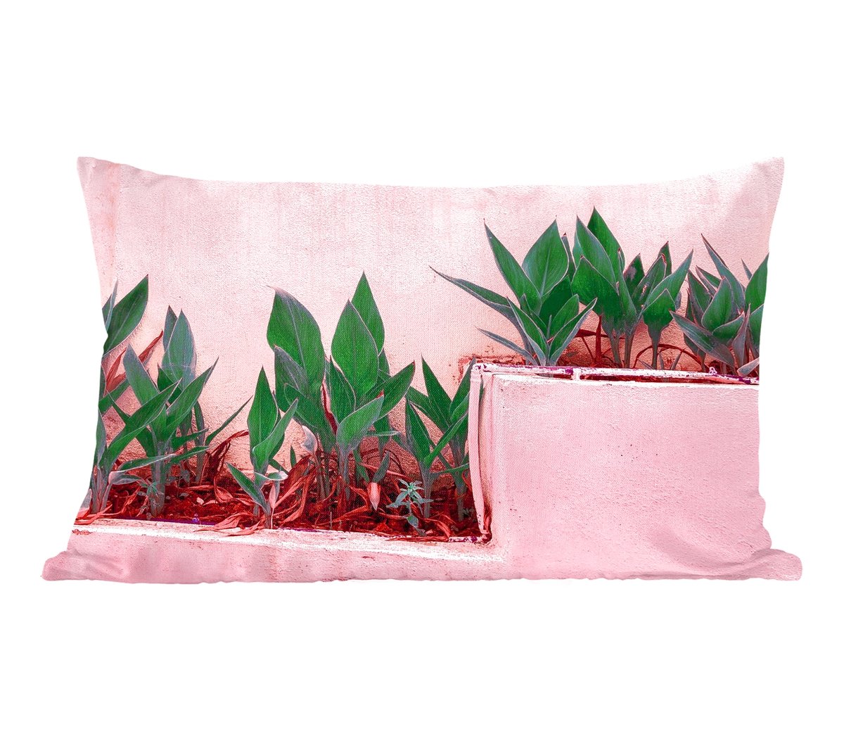 Sierkussens - Kussentjes Woonkamer - 50x30 cm - Planten - Zomer - Verf