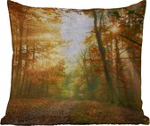 Sierkussen Buiten - Bos - Herfst - Zon - Landschap - Natuur - Bomen - Bladeren - 60x60 cm - Weerbestendig