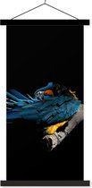 Porte-affiche avec affiche - Affiche scolaire - Vogel - Ressorts - Branche - Zwart - 90x180 cm - Lattes noires