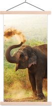 Posterhanger incl. Poster 40x80 cm - Schoolplaat - Olifant - Dieren - Bos - Bomen - Textielposter - Blanke latten