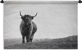 Wandkleed - Wanddoek - Dieren - Schotse hooglander - Zwart wit - Natuur - Landelijk - 60x40 cm - Wandtapijt