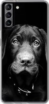 Geschikt voor Samsung Galaxy S21 Plus hoesje - Close-up labrador puppy tegen zwarte achtergrond in zwart-wit - Siliconen Telefoonhoesje
