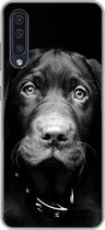 Geschikt voor Samsung Galaxy A50 hoesje - Close-up labrador puppy tegen zwarte achtergrond in zwart-wit - Siliconen Telefoonhoesje