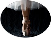 Dibond Ovaal - Ballerina - Balet - Schoenen - Dansen - 96x72 cm Foto op Ovaal (Met Ophangsysteem)