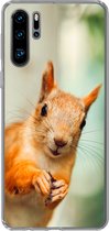 Coque Huawei P30 Pro - Écureuil - Drôle - Noix - Enfants - Garçons - Filles - Enfant - Coque de téléphone en Siliconen