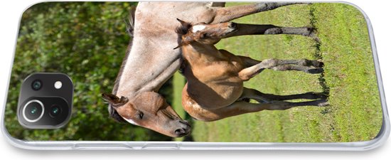 Coque de téléphone compatible avec Xiaomi 11T - Paarden - Herbe - Ombre - Coque en Siliconen