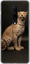Geschikt voor OnePlus 7 Pro hoesje - Luipaard - Dieren - Vlek - Siliconen Telefoonhoesje