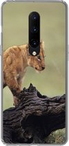 Geschikt voor OnePlus 7 Pro hoesje - Leeuw - Boomstam - Welp - Siliconen Telefoonhoesje
