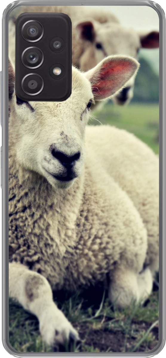 Telefoonhoesje Geschikt voor Samsung Galaxy A33 5G hoesje - Schapen - Lam - Gras - Siliconen Telefoonhoesje Telefoonhoesje
