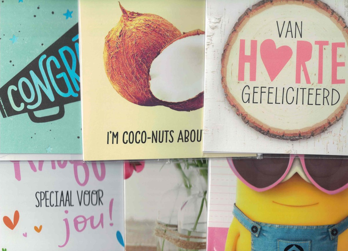 Hallmark wenskaarten - set van 6 - every day assorti - felicitatie - blanco - inclusief envelop