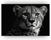 Cheeta poster - Jachtluipaard muurdecoratie - Muurdecoratie wilde dieren - Muurdecoratie modern - Woonkamer posters - Woonkamer decoratie - 60 x 40 cm