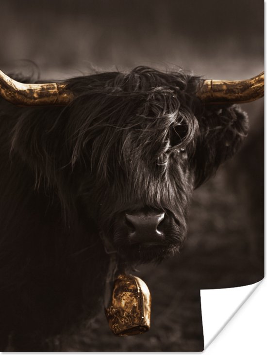 Poster Schotse hooglander - Bel - Goud - 90x120 cm