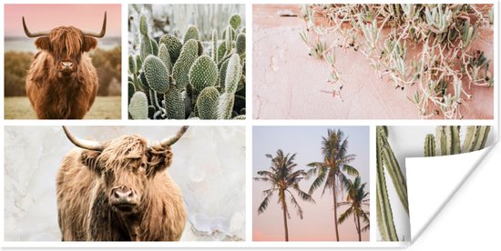 Affiche Highlander écossais - Pastel - Plante grasse - 40x20 cm