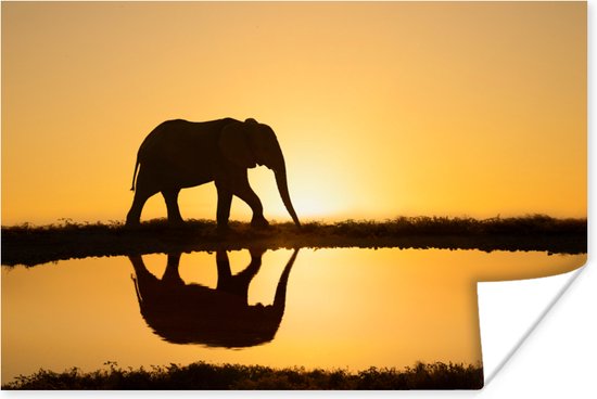 Poster Silhouet van een olifant bij zonsondergang - 120x80 cm